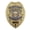 Gold, variant on Hero’s Pride Security Enforcement Officer Badge, Silver, 5-Pc Pin Catch, 2.25"x3.125"