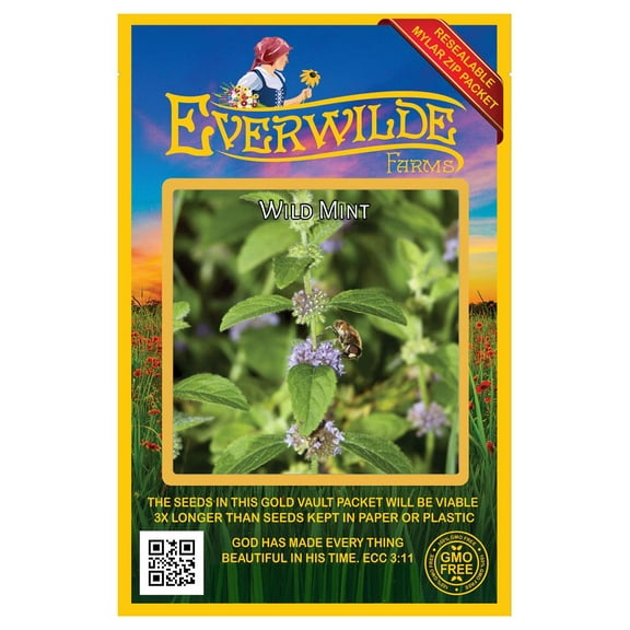 Everwilde Farms - 1750 Wild Mint Native Wildflower Seeds - Gold Vault Seed Packet
