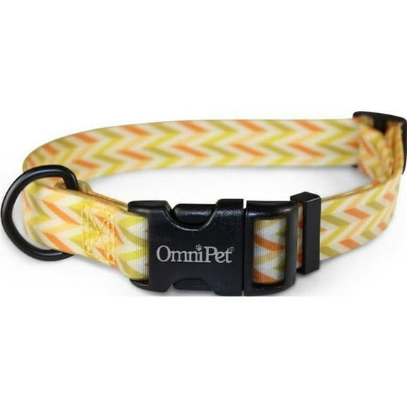 Leather Brothers 19204-01 1 x 18 x 26 in. Attitudz Carmel Biothane Dog Collar