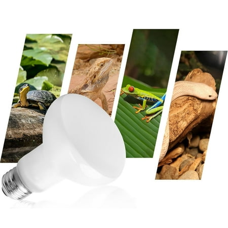 Reptile Heat Lamp Bulbs Simulate Natural Sunlight Heat Light Bulb 2 Pack 100W Amphibian Terrarium Basking Spot Lamp for Reptile Bearded Dragon Lizard Turtle Snake