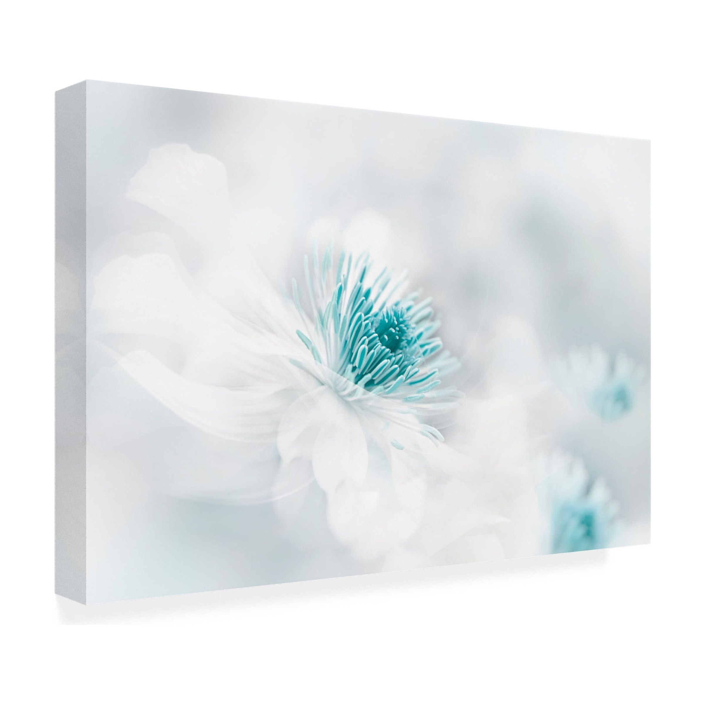 Trademark Fine Art Jacky Parker  Nirvana Canvas Wall Art