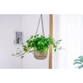 thumbnail image 4 of Gray Hanging Planter with Drainage Hole,Set of 3 Small Flower Pots,Double Layer Planter Design,Visible Water Level Plant Hanger,for Flower,Green Plant,Succulent, 4 of 7