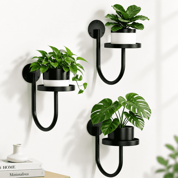 3 pack Black Wall Mounted Plant Hangers for Indoor Window, Wall and Shelf Displa