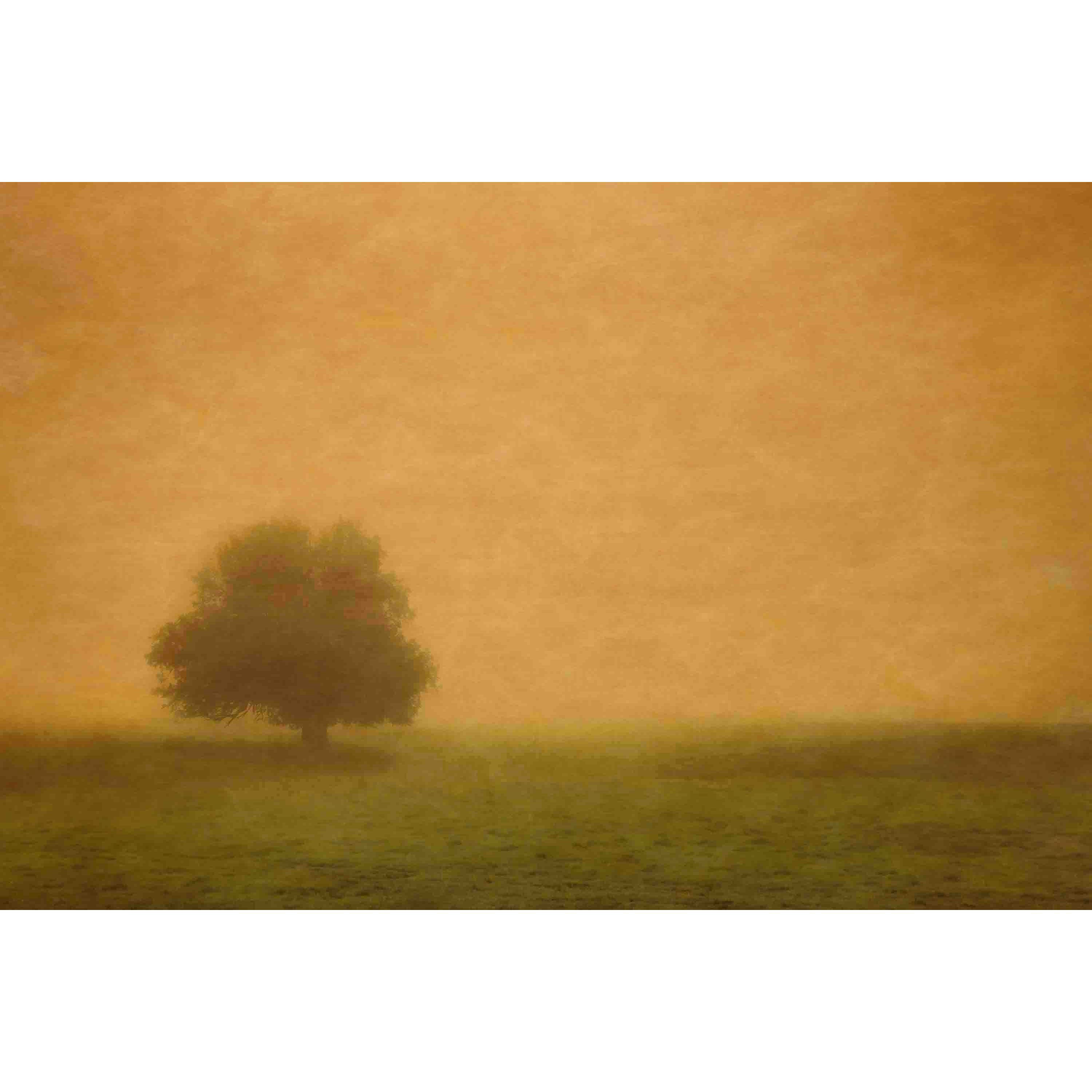 Marmont Hill "Silent and Still" Painting Print on Canvas