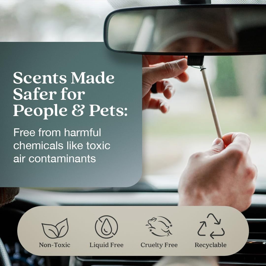 Non-Toxic Car Air Freshener (Black Vanilla & Mandarin) Natural Car Air Freshener | Essential Oil Diffuser | Car Scent Lasting Over 180 Days | 3 Packs of 2 Hanging Auto Stix