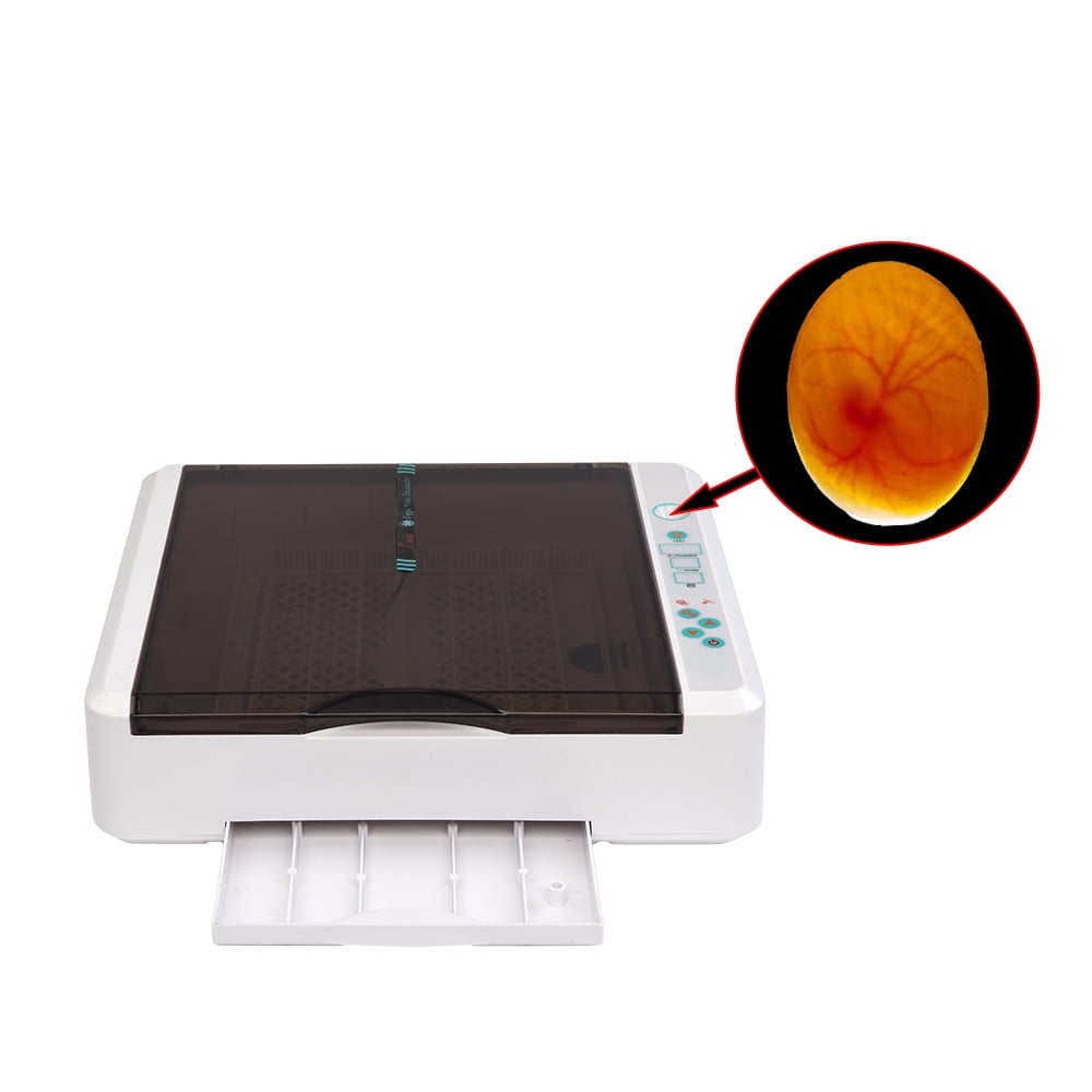 Private Jungle Egg Incubator with Automatic Egg Turning and Pull-out Water Tray for 36 Chicken Duck Bird Quail Goose Eggs Private Jungle Egg Incubator with Automatic Egg Turning and Pull-out Water Tray for 36 Chicken Duck Bird Quail Goose Eggs