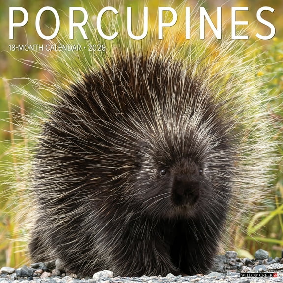 Porcupines 2026 Wall Calendar