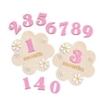thumbnail image 3 of lionlar Baby Monthly Milestone Cards Sign Gift Keepsake Memories Unique Double Sided Pink, 3 of 8