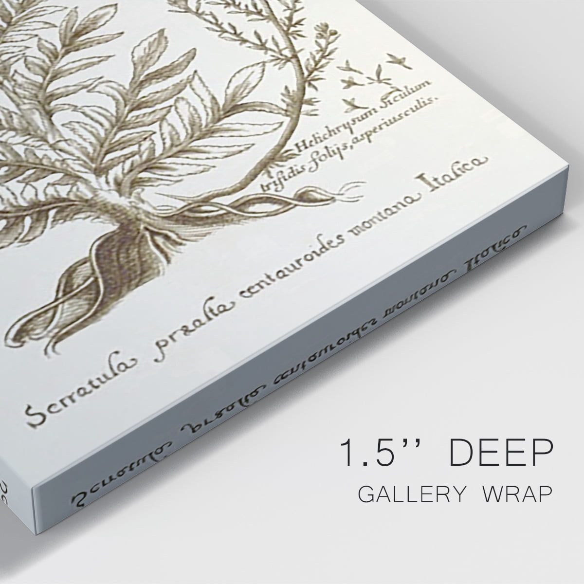 Sepia Botanical Journal I Premium Gallery Wrapped Canvas - Ready to Hang