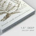 thumbnail image 3 of Sepia Botanical Journal I Premium Gallery Wrapped Canvas - Ready to Hang, 3 of 9