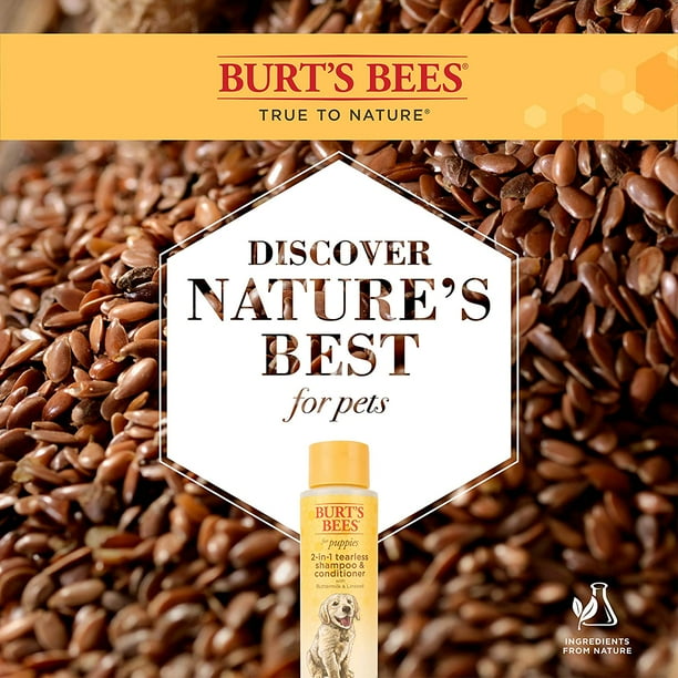 Burt's bees puppy shampoo and best sale conditioner reviews