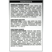 SoftSheen-Carson Dark and Natural 5 Minute Shampoo In Permanent Men's Hair Color, Jet Black