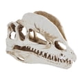 thumbnail image 7 of Dmlowu Animal Skeletons Halloween Decorations, 5x7" Plastic Halloween Skeleton for Home Decor, Spooky Dinosaur Skull Skeleton for Halloween Decorations Outdoor & Infoor, White, 7 of 7