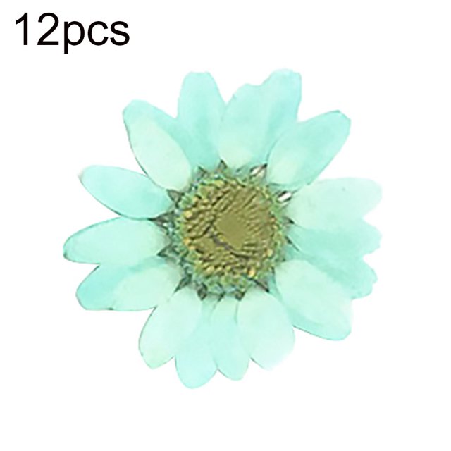 Flmtop 12Pcs Pressed Dried Natural Flower Epoxy Resin Nail Craft DIY Phone Decoration