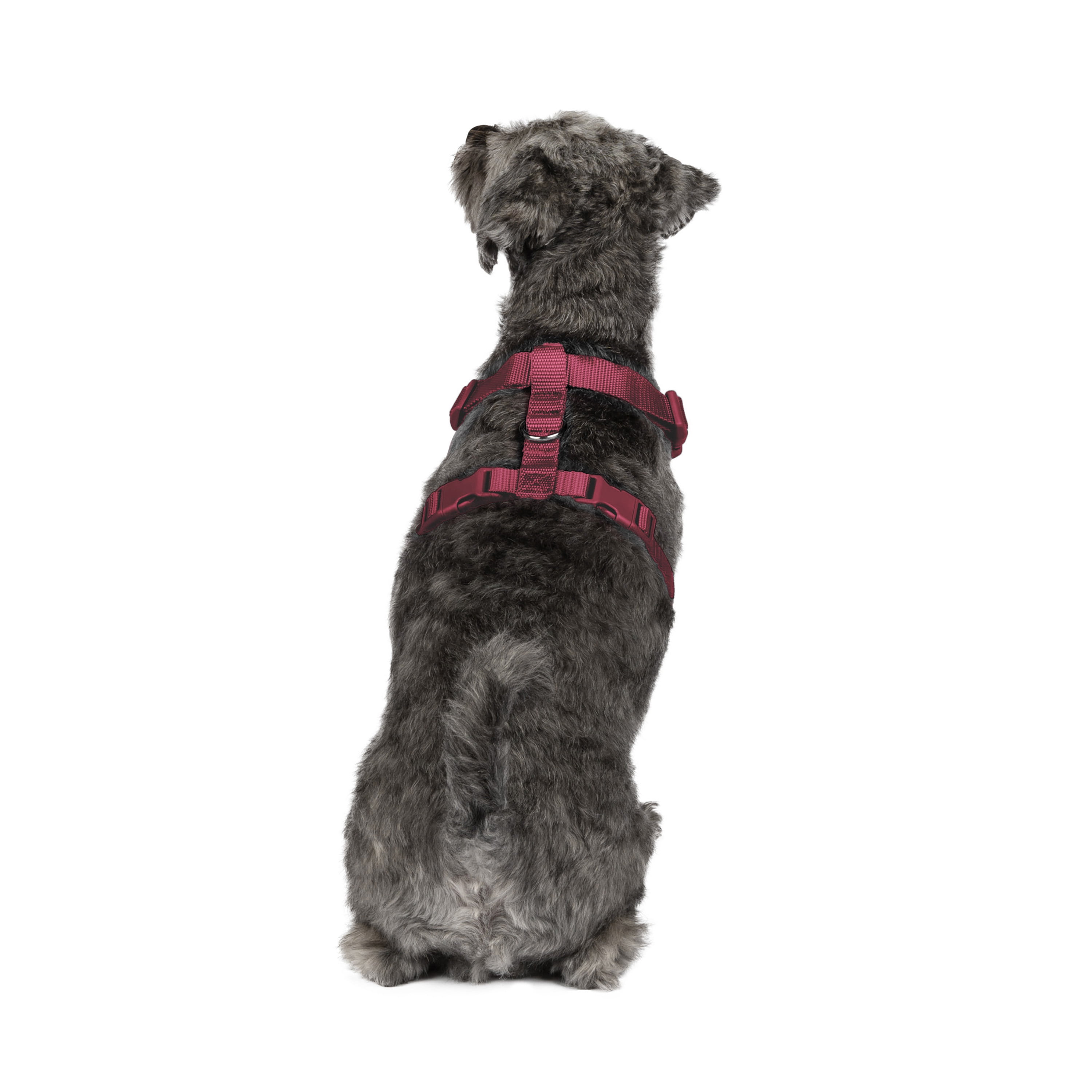 Vibrant Life Polyester Mesh Adjustable and Reflective Dog Walking Harness, Red, S