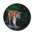 thumbnail image 1 of Safari Mouse Pad for Computers, Tiger in Water Stream Hunting Danger Trees Tropical Pond Hiding Captive, Round Non-Slip Thick Rubber Modern Gaming Mousepad, 8" Round, Green Orange Brown, by Ambesonne, 1 of 2
