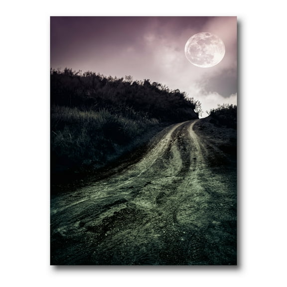 Designart ' Countryside Muddy Road Under Full Moon ' Modern Canvas Wall Art Print
