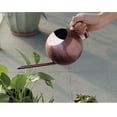 thumbnail image 4 of Regadera DYNWAVEMX de acero inoxidable 35 onzas/1000ml para plantas de oficina interior y jardín, 4 of 8