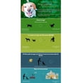 thumbnail image 2 of Atrayente Para Tapete Sanitario Entrenador Perro Plast Pet Green Carpet, 2 of 2