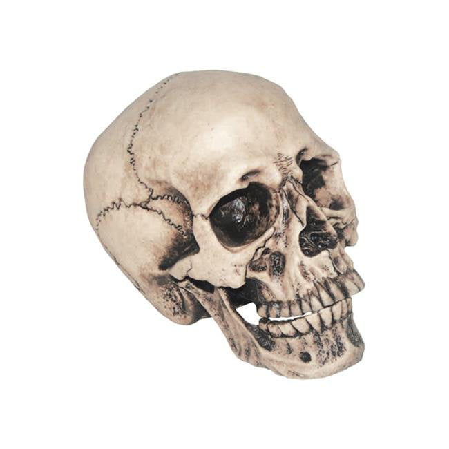 Resin Model LED Gothic Ornament Skull Human Skeleton Head Halloween Decor #1 