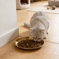 thumbnail image 4 of Thickened Stainless Steel Flat Pet Dish for Flat-Faced Cats and Small Dogs – Anti-Slip Shallow Feeding Plate for Kittens,Easy to Clean Metal Tray,Size XL, 4 of 5