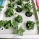 thumbnail image 1 of Caja de macetero con sistema hidropónico, 11 orificios, caja de cultivo hidropónico con orificios para sistema hidropónico, probada y confiable, 1 of 10