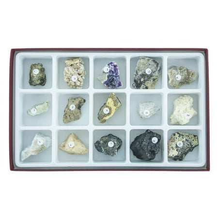 Hubbard Scientific 2375 Fluorescent Minerals Short Long Wave Collection