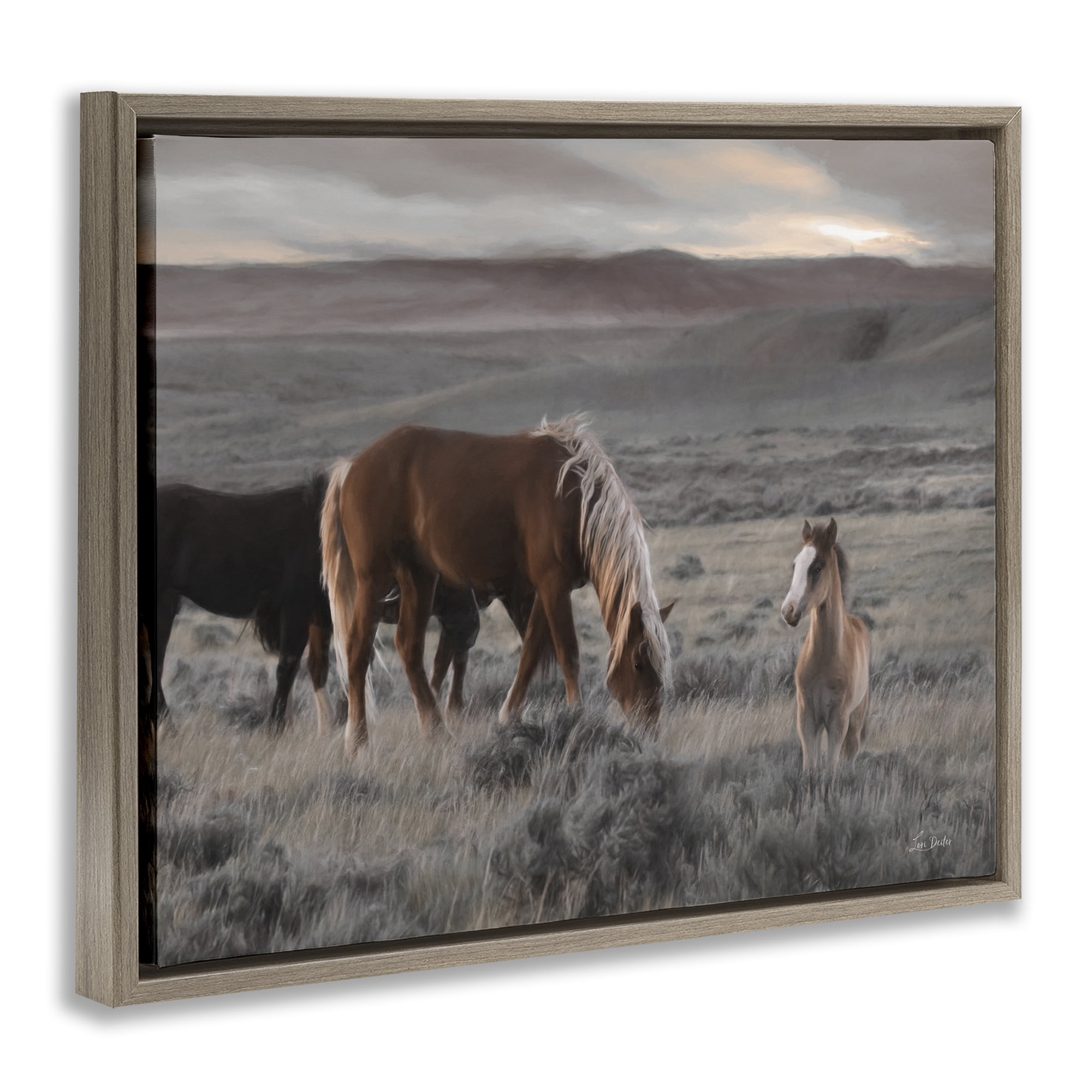Stupell Industries Country Horses in Valley Animals Photography Brown Floater Framed Canvas Art Print Wall Art, 31 x 25