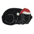 thumbnail image 2 of JUNWELL Rug Hopes You Like Ms Rachels Doormat Housewarming Gift Front Door Decor Good Doormat Funny Door  Porch Decor Closing Gift, 2 of 6