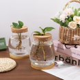 thumbnail image 5 of 2 pcs Plant Propagation Jars Glass Planter Vase Desktop Plant Terrarium with Wooden Lid and Bamboo Stand for Hydroponic Plants Succulents Cut Flowers Garden Decor Clear 4.45x 5.91inch, 5 of 7