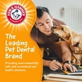 thumbnail image 6 of Arm & Hammer Tools 7.5" Wood Mix Paintbrush Durable Dental Dog Chew Toy, 6 of 9
