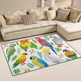 thumbnail image 2 of Coolnut Lightweight Soft Area Rugs 60x39 inch, Beautiful Parrot Floor Mat for Kids Playing Room Hardwood Floor Living Room Nursery Rugs, 2 of 6
