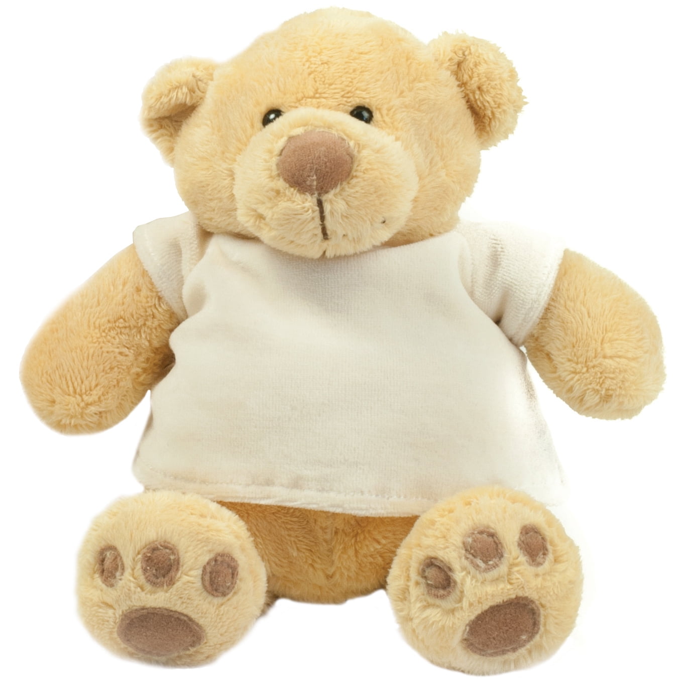 honey teddy bear