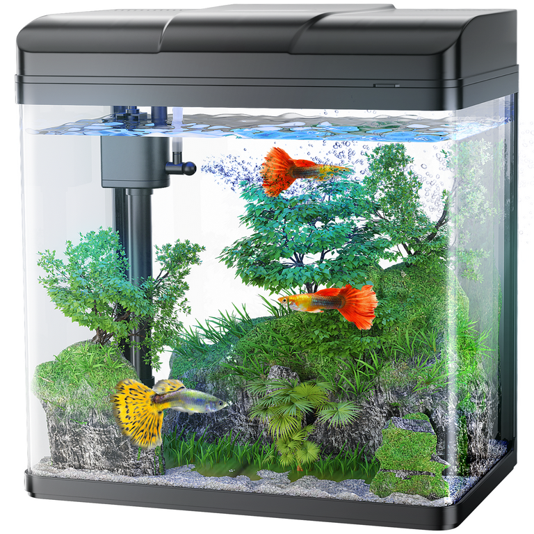 PONDON Fish Tank, 1.7 Gallon Glass Aquarium with Air Pump & LED Light & Filter, Small Fish Tank for Betta Fish Starter Kit (Black)