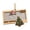 C, variant on Christmas 2026 Wooden Cash & Photo Holder Ornament, Santa Claus Hanging Frame Ornament for Holding Cash, Photos or Gift Cards, Xmas Tree Decor Keepsake