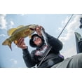 thumbnail image 6 of Berkley Power® Blade Compact, Spinnerbaits, E2 Magic/Gold + Silver (1-count), 6 of 6