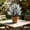 White409, variant on WDOBM Outdoor Yard Decor, Outdoor Waterproof Garden Decor, Decorative Garden Stakes for Flower Pots, Yard Art Outside Patio Porch Lawn, Birthday Gifts for Women Mom
