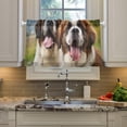 thumbnail image 5 of GZHJMY 36 Inch Length Kitchen Curtains Old Russian Dog 2 Panels Half Window Sheer Curtains Rod Pocket Farmhouse Short Drapes for Bathroom Cafe Basement Home Decor, 5 of 7