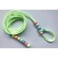 thumbnail image 1 of Reptile Leash, Adjustable Luminous Design Bearded Dragon Harness And Leash Portable Reptile Lizard Leash For Turtles And Lizards And Small Pet, 1 of 8