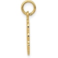 thumbnail image 2 of 14k Yellow Gold RN Registered Nurse Disc Charm - 20mm, 2 of 6