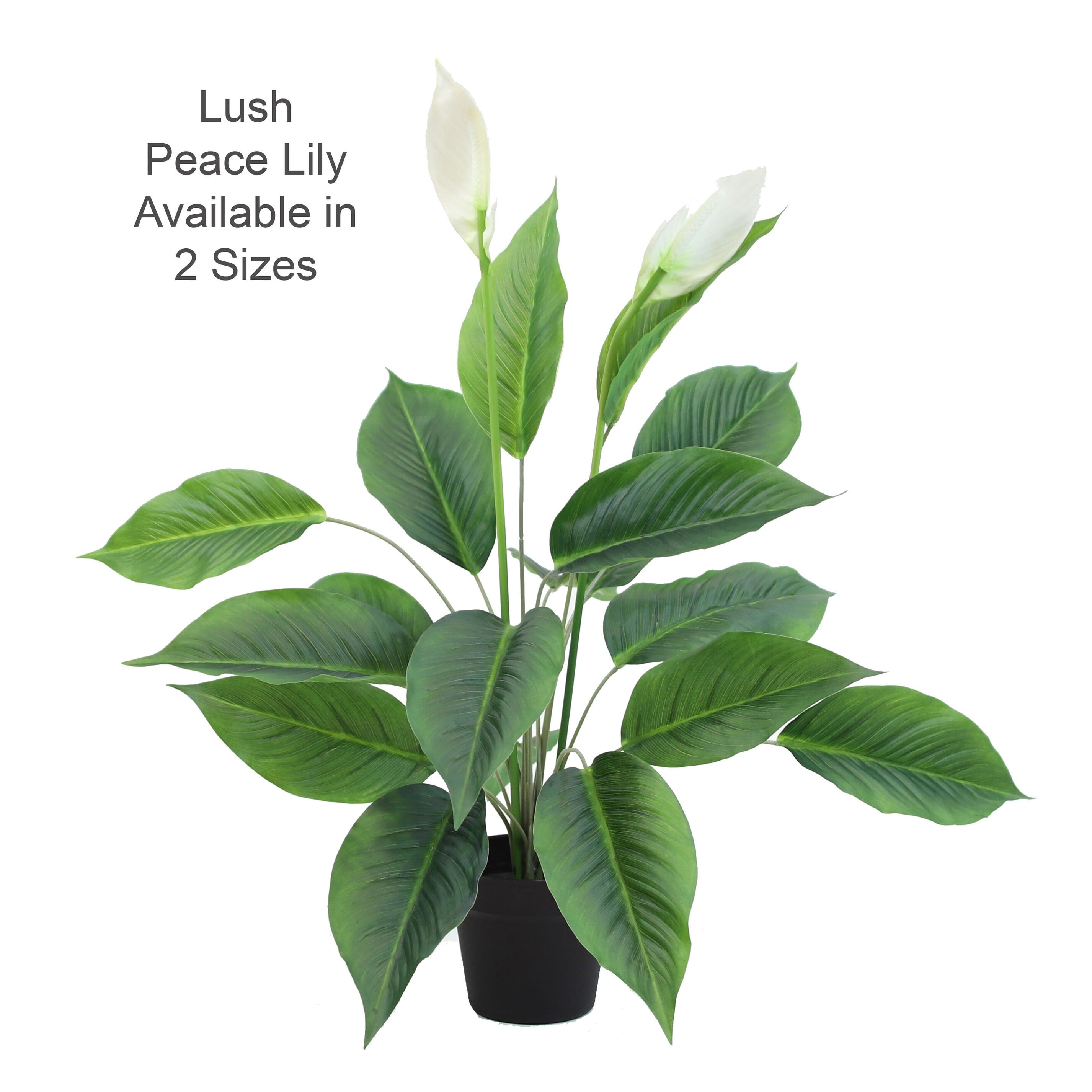 The Mod Greenhouse 40" Artificial Green Spathiphyllum Plant in a Black Matte Planter Pot
