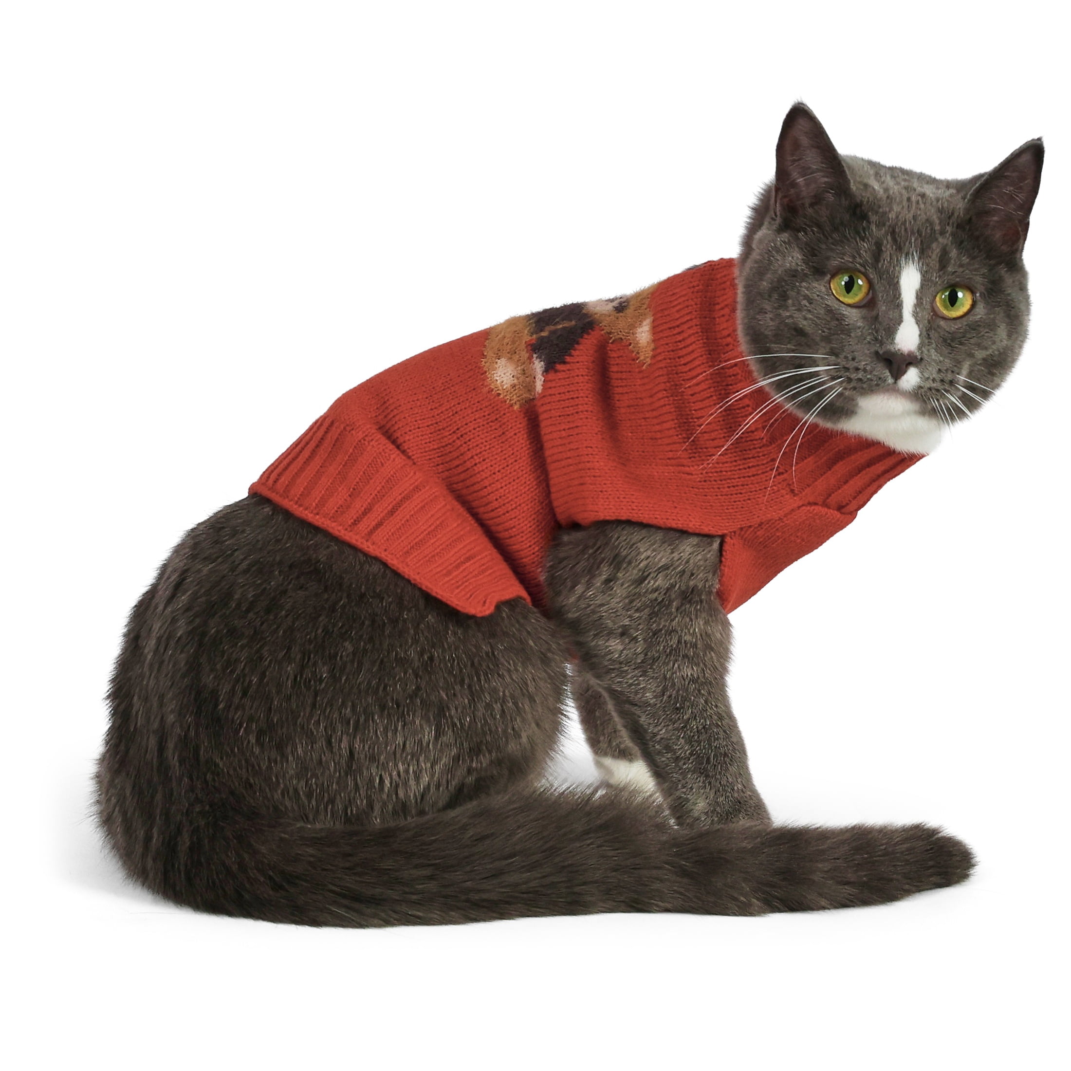 Vibrant Life Knit Sweater for Dogs and Cats, Teddy Bear, Orange, S