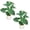 Green Leaves-1, variant on 30'' Artificial Tropical Alocasia Leaf Plant With White Pot 2pc/set