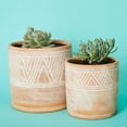 thumbnail image 2 of Cylindrical Terracotta Pot Set, 2 of 4