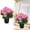Pink, variant on Artificial Begonia Flower in Pots, Fake Flowers in Vase Fake Plants for Indoor Bathroom Office Desk Shelf Table Centerpieces, Realistic Faux Potted Plants Desk Plant Decorative Silk Plants, Hot Pink