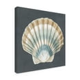 thumbnail image 2 of Trademark Fine Art 'Shell on Slate III' Canvas Art by Megan Meagher, 2 of 4