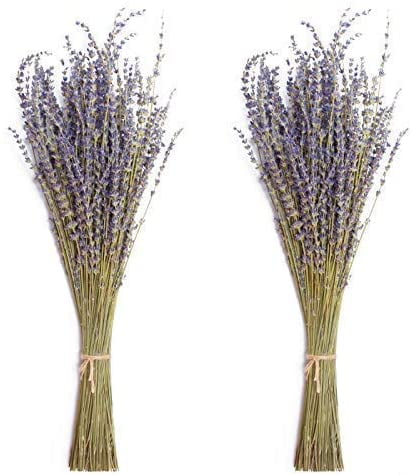 Organical Natural Air Dried California Lavender Flower Bunches FREE SHIPPING Organical Natural Air Dried California Lavender Flower Bunches FREE SHIPPING