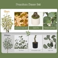 thumbnail image 4 of 5FT Artificial Eucalyptus Tree Indoor - Realistic Fake Potted Plant with White Planter, Lifelike Leaves & Bendable Boughs for Home Office Living Room Bedroom Decor, Housewarming Gift, 4 of 7