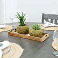 thumbnail image 7 of Esterno Kokedama Hanging Planters (Set of 3, 5.5in Diameter); Japanese Moss Ball Plant Holder for Ferns, Succulents, Orchids Etc, 7 of 7