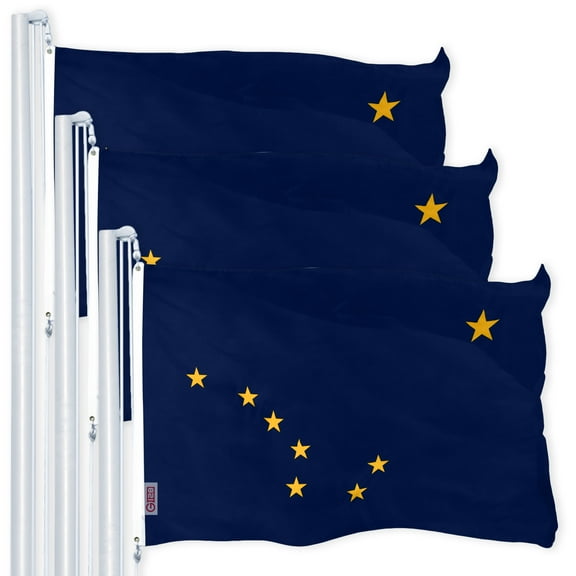 Alaska AK State Flag 3x5FT 3-Pack 150D Printed Polyester By G128